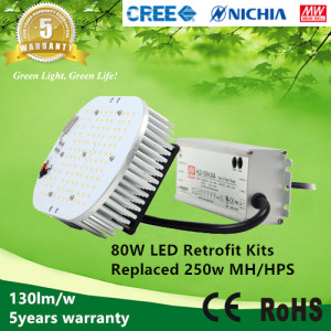 130lm/W 80W LED Retrofit Kits to Replace 250W Metal Halide Lamps